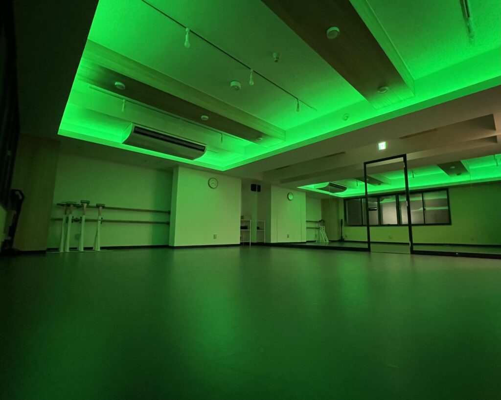 サルサの雰囲気に合わせて照明を変えることができます。