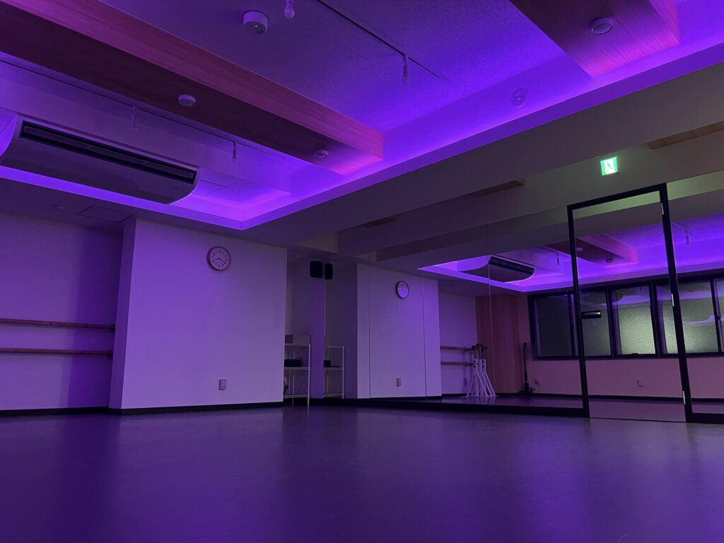 サルサの雰囲気に合わせて照明を変えることができます。